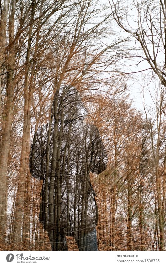 experiment | waldgeist 1 Mensch Umwelt Natur Pflanze Luft Herbst Winter Wetter schlechtes Wetter Baum Blatt Grünpflanze Wildpflanze Wald Bekleidung Hose Jacke