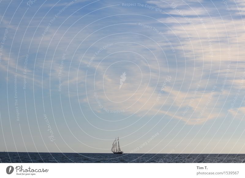 Freiheit Frühling Nordsee Ostsee Meer Segel Segelboot Segelschiff horizontale Wolken Himmel Ferne Jacht Yachting Farbfoto Außenaufnahme Menschenleer Abend