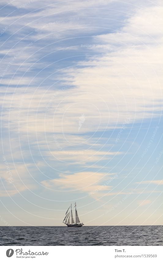 Segeln Ostsee Schifffahrt Kreuzfahrt Bootsfahrt Jacht Segelboot Segelschiff Abenteuer Wolken Himmel Meer Horizont Farbfoto Außenaufnahme Menschenleer Tag