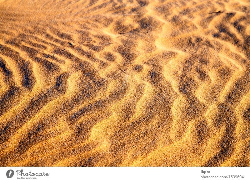 die braune Sanddüne in der Sahara-Marokko-Wüste schön Ferien & Urlaub & Reisen Tapete Natur Landschaft Schönes Wetter Urwald Hügel heiß gelb Einsamkeit Idylle