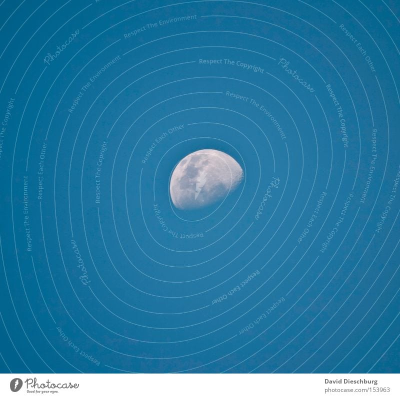 100% Mondlandung Abend Himmel blau weiß Halbmond rund Planet Weltall Kontrast Zoomeffekt abnehmend Winter Himmelskörper & Weltall Luftverkehr moon sky zunehmend
