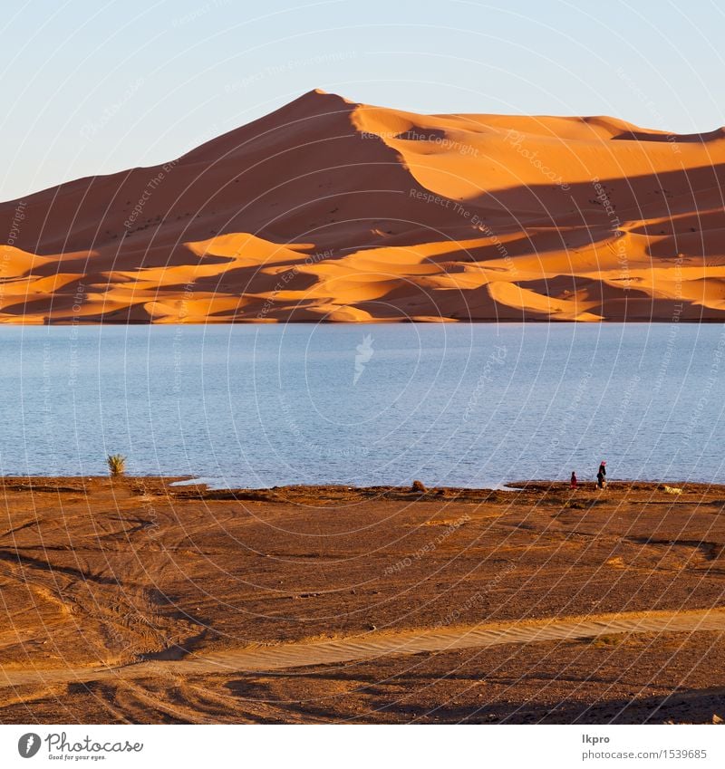 Marokko Sand und See Ferien & Urlaub & Reisen Abenteuer Safari Sonne Natur Landschaft Wärme Dürre heiß gelb rot Einsamkeit Afrika Afrikanisch arabisch trocken