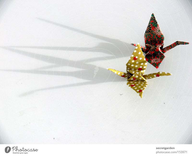 zu zweit fliegt es sich leichter. Freizeit & Hobby Handwerk Kunst Tier Vogel Papier fliegen Zusammensein hell Kitsch weiß Kranich Asien Japan gefaltet 2