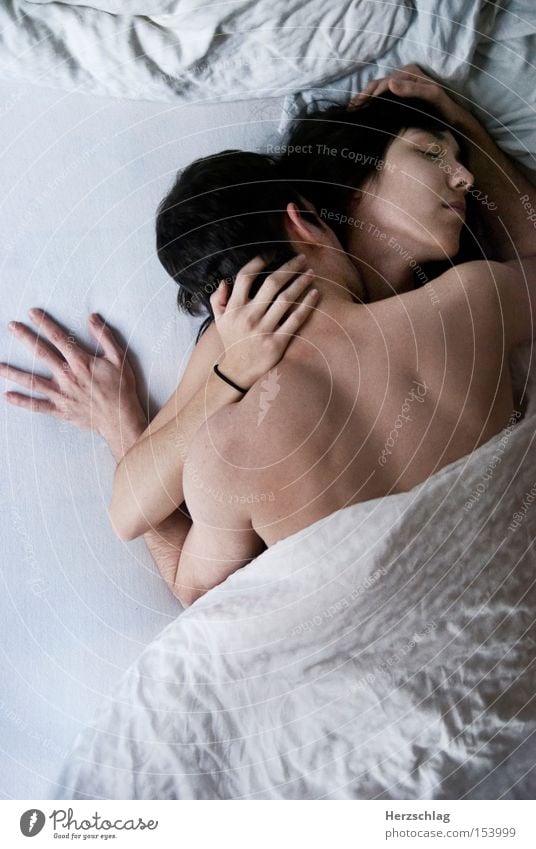 Liebe machen II Sex Vertrauen Geborgenheit Bett Decke Haut Rücken Leidenschaft Wärme Körper Mensch Frau Mann Familie & Verwandtschaft Liebespaar