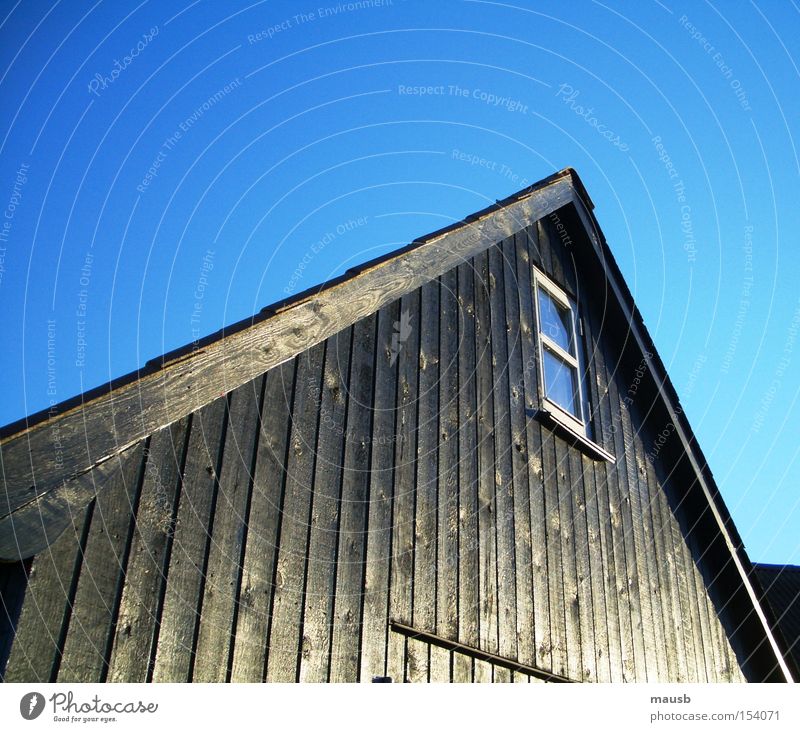warmes Holz trotz Frost Bootshaus Ebenholz schwarz Blauer Himmel Fenster kalt Winter Klarheit