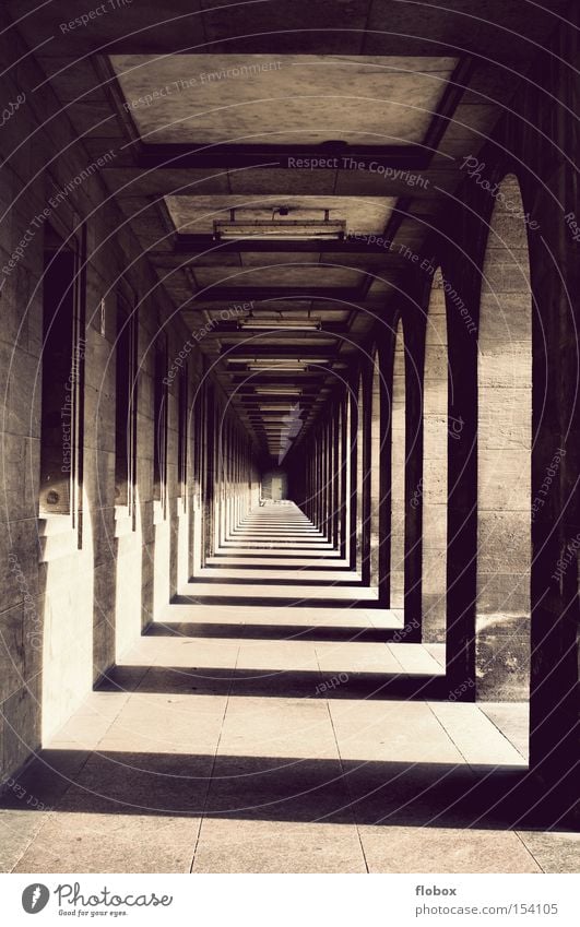 Endlosigkeit Tunnel Säule Gang Unendlichkeit Schatten Licht Flur Tor Eingang Geometrie Symmetrie Torbogen antik historisch Gotteshäuser