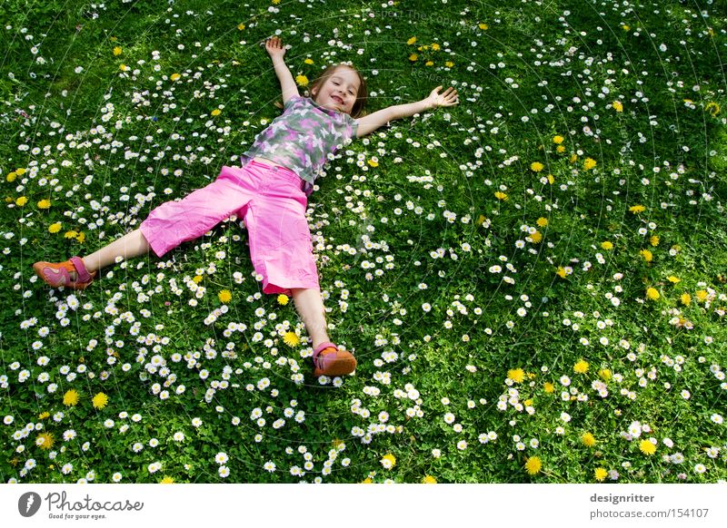 Frühlingstraum Wiese Gras Blume Gänseblümchen Kind Mädchen liegen lachen Freude Wärme Sonne Paradies Sommer