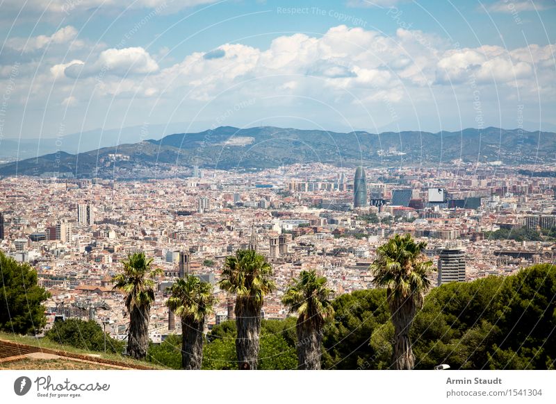 Barcelona Lifestyle Reichtum Stil Ferien & Urlaub & Reisen Tourismus Sightseeing Städtereise Sommerurlaub Umwelt Natur Himmel Wolken Schönes Wetter Palme Park