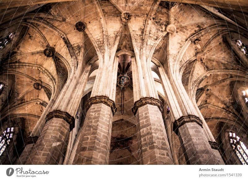Kathedrale - Säulen Stil Design Ferien & Urlaub & Reisen Sightseeing Barcelona Kirche Dom kapitel Sehenswürdigkeit alt ästhetisch dunkel groß historisch hoch