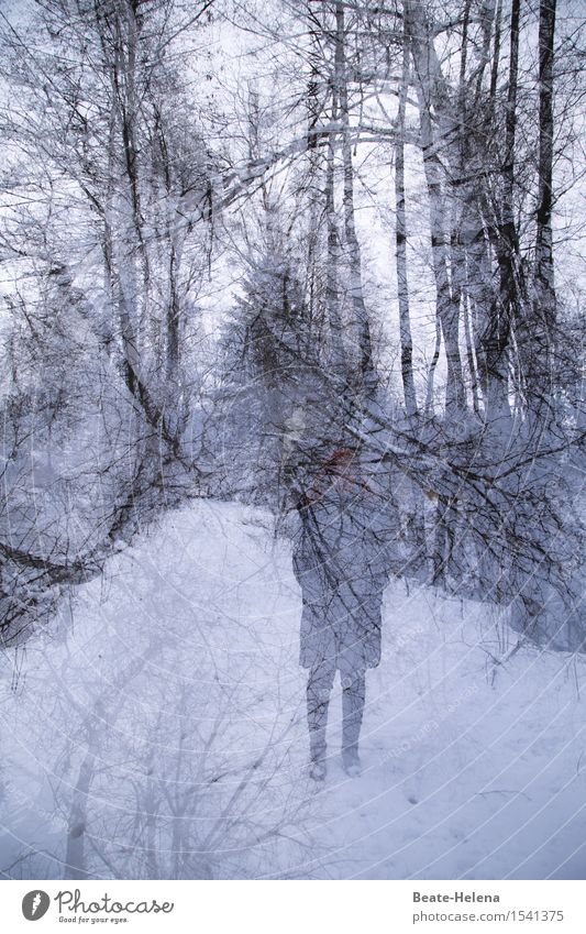 Eisige Zeiten ruhig Freizeit & Hobby Winter Schnee wandern Frau Erwachsene Natur Landschaft Wetter Wald Mantel Erholung laufen sportlich schwarz weiß Glück