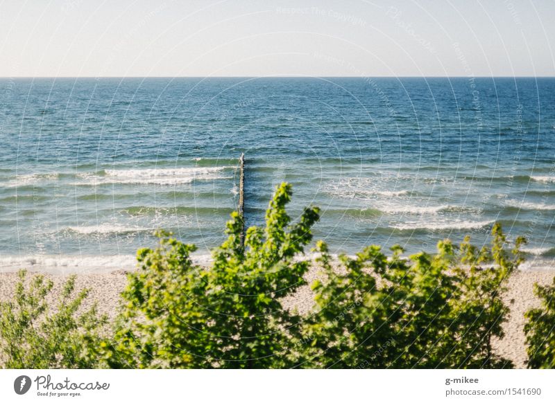 Ostsee Natur Wasser Strand Meer hell Wärme Warmherzigkeit ruhig Rewal 2015 Farbfoto Außenaufnahme Menschenleer Textfreiraum oben Tag Sonnenlicht