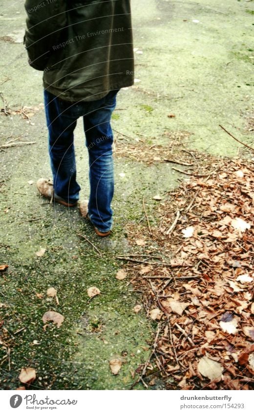 Spaziergang Blatt Wege & Pfade nass Mensch Straße gehen grün Herbst Verkehrswege Rücken Beine