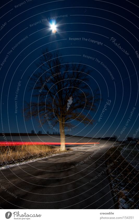 Mondschein V Feld Landwirtschaft Stern (Symbol) Nacht Winter kalt Romantik Bayern gefroren KFZ Autoscheinwerfer Baum Einsamkeit Rücklicht Langzeitbelichtung