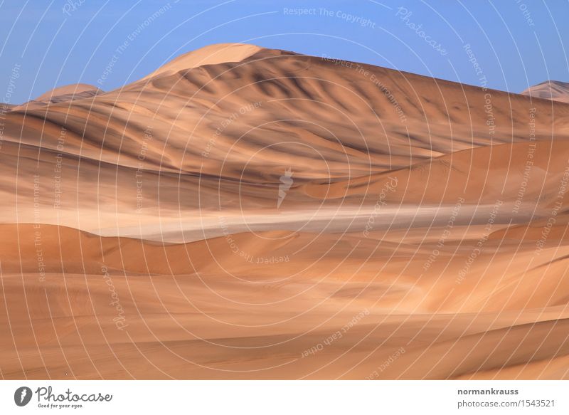 Namib Wüste in Namibia Tourismus Safari Sommer Natur Landschaft Urelemente Sand Wolkenloser Himmel Schönes Wetter entdecken groß Unendlichkeit heiß hell