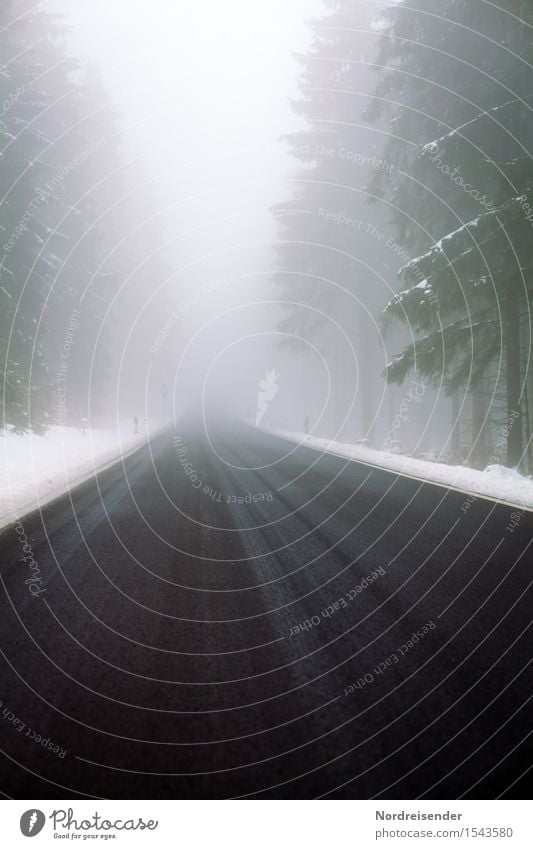 Straßenverhältnisse Ausflug Winter schlechtes Wetter Nebel Eis Frost Schnee Baum Wald Verkehr Autofahren Wege & Pfade bedrohlich dunkel kalt Akzeptanz