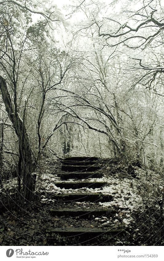 winterreise. Winter Treppe Wald Schnee kalt Einsamkeit Wege & Pfade Frost wandern laufen ruhig steigen