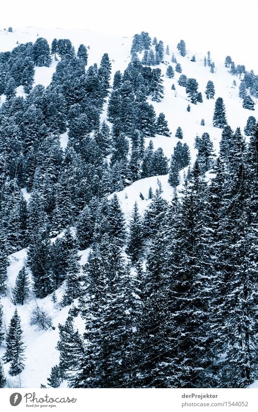 Alles schon mal gepudert für weiße Weihnachten Ferien & Urlaub & Reisen Tourismus Ausflug Abenteuer Ferne Freiheit Winterurlaub Berge u. Gebirge wandern Umwelt