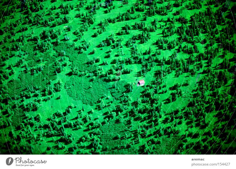 Haus im Grünen Wald grün Alaska USA Amerika Luftaufnahme Einsamkeit