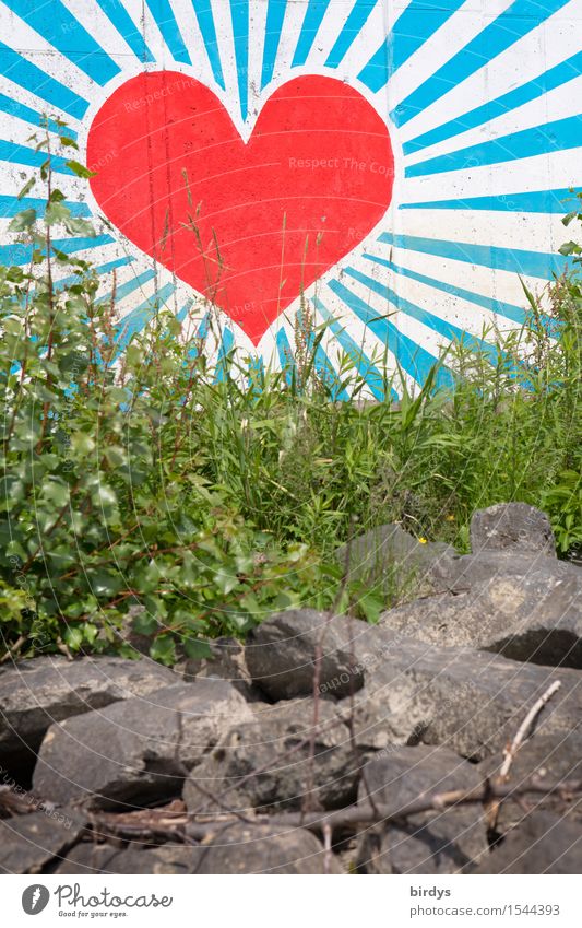 Herz hinter Gras Stil Kunst Jugendkultur Graffiti leuchten ästhetisch Freundlichkeit groß positiv schön blau grau grün rot weiß Glück Frühlingsgefühle Kraft