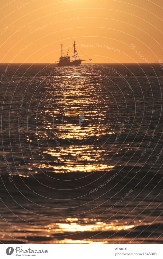 Fischkutterromantik Nordsee Fischerboot Seemann seefahrerromantik Aloa-he Arbeit & Erwerbstätigkeit schaukeln Unendlichkeit gelb gold Zufriedenheit Romantik