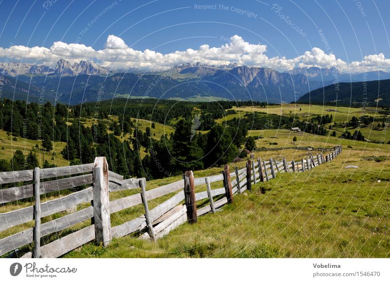 Blick von der Villanderer Alm zu den Dolomiten Tourismus Sommer Berge u. Gebirge Klettern Bergsteigen Informationstechnologie Natur Landschaft Wolken