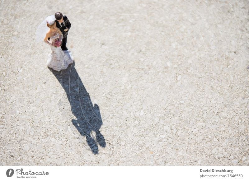Auf ein "Ja-Wort" treffen Hochzeit maskulin feminin Frau Erwachsene Mann Paar Partner Körper Frühling Sommer Schönes Wetter Kleid Anzug Glück Fröhlichkeit