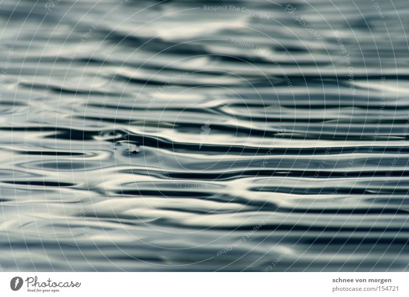 flüssigkeitsrauschen Wasser Meer See blau Flüssigkeit Winter Wellen Reflexion & Spiegelung Schwarzweißfoto Rauschen Leben water