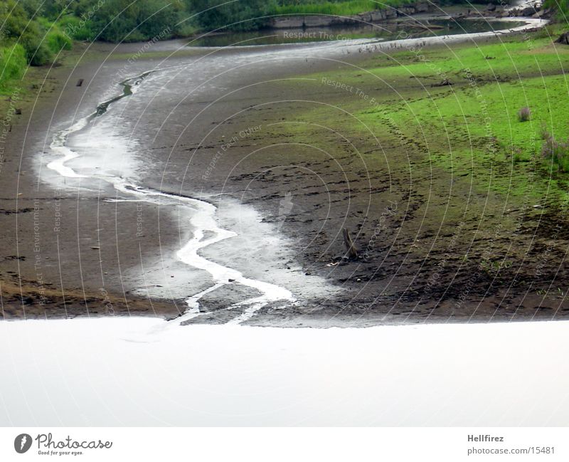 Trockener See [7] trocken Baum Flußbett Landschaft Fluss Pflanze