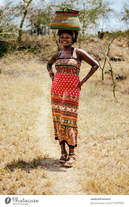 Femininity. Lifestyle exotisch schön Safari Mensch feminin Junge Frau Jugendliche Erwachsene Körper 1 Mode Bekleidung Kleid Arbeit & Erwerbstätigkeit ästhetisch
