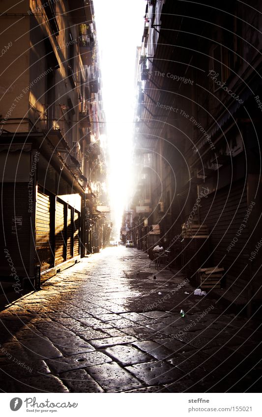 Guten Morgen! Italien Neapel Gegenlicht Sonne Sonnenaufgang Straße Einsamkeit aufwachen aufstehen Verkehrswege schön