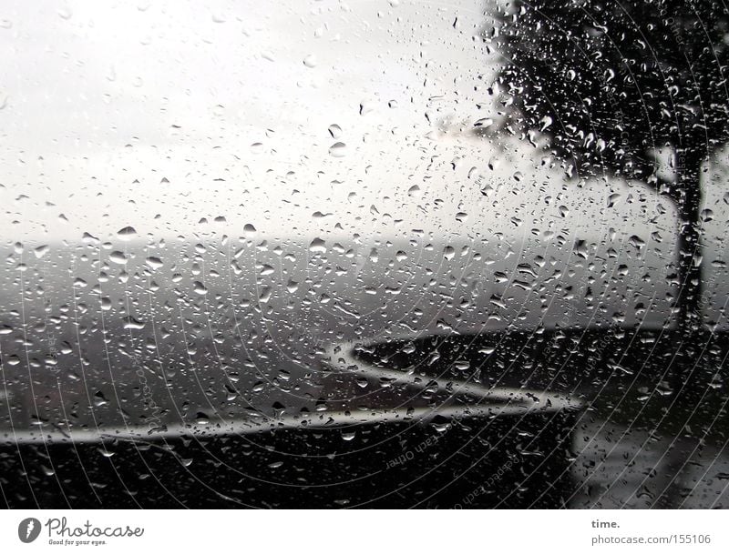 Laune der Natur Umwelt Horizont Klima Wetter Regen Baum nass grau geschlängelt Aussicht Fensterscheibe Wassertropfen Schwache Tiefenschärfe Menschenleer