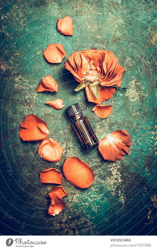 Rosenöl. Ätherisches Öl mit Rosenblütenblätter Stil schön Kosmetik Parfum Gesundheit Wellness Wohlgefühl Sinnesorgane Erholung Duft Spa Massage Natur Pflanze