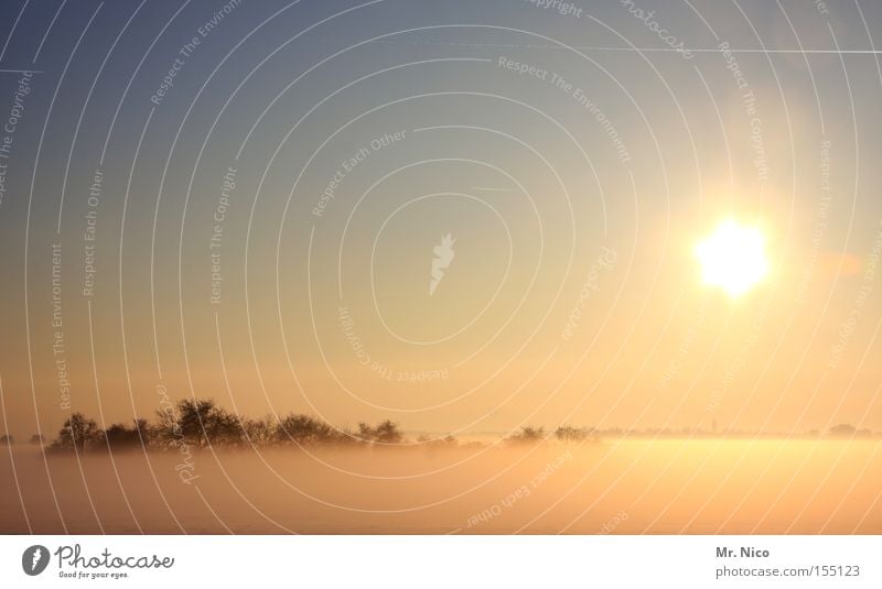 nebulös Nebel Bodennebel Schleier Sonne Sonnenuntergang Sonnenlicht Idylle ruhig Wintertag Himmel Wäldchen Natur Landschaft Planet Himmelskörper & Weltall