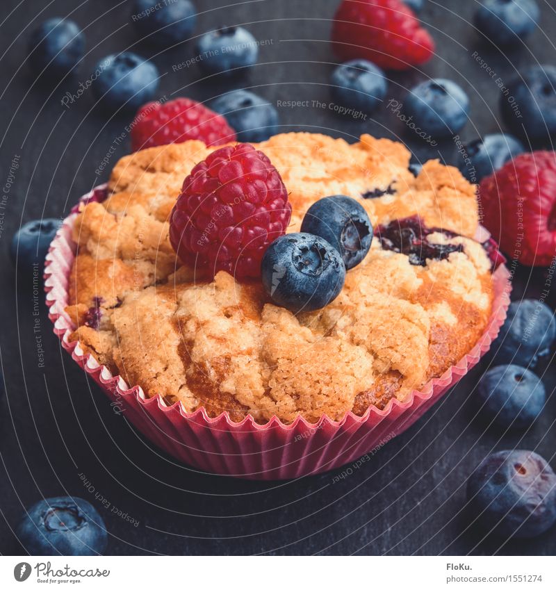 Blaubeer-Muffin Lebensmittel Frucht Teigwaren Backwaren Dessert Ernährung Kaffeetrinken Bioprodukte Vegetarische Ernährung Fingerfood schön lecker süß blau gelb