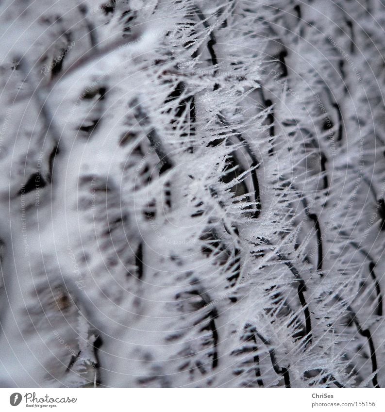 Eiszeit Frost Winter Raureif kalt Schnee Draht Zaun Spitze Makroaufnahme Nahaufnahme Nordwalde abstrakt Maschendraht vom Winde angeweht ChriSes