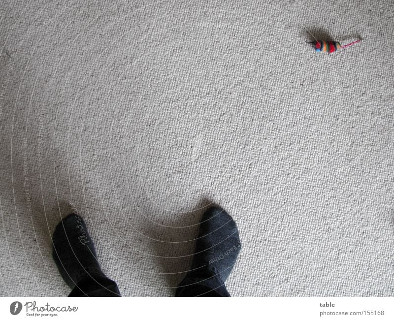 keiner spielt mit mir... Teppich Strümpfe Hosenbeine Mann Schatten Haustier Langeweile Wohnzimmer Tier Fuß Maus pennt :) Vogelperspektive Stofftiere