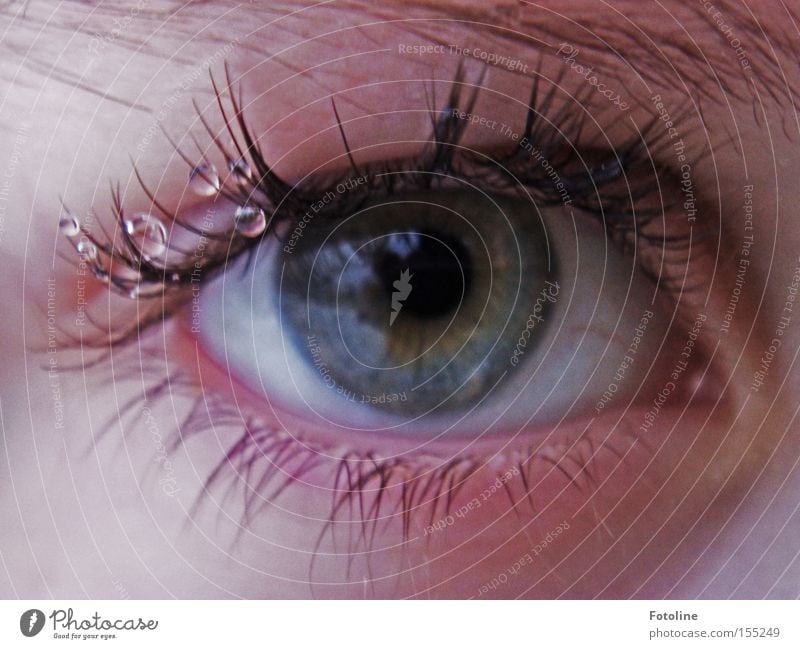 Augentröpfchen Wimpern Wassertropfen Augenbraue Augenfarbe Blick Farbe blau grau Pupille Linse Mensch Oculus Momentaufnahme