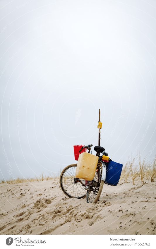 Sammler ruhig Ausflug Ferne Meer Fahrradfahren Sand Frühling Sommer Klima schlechtes Wetter Wind Regen Gras Küste Strand Nordsee Ostsee Verpackung