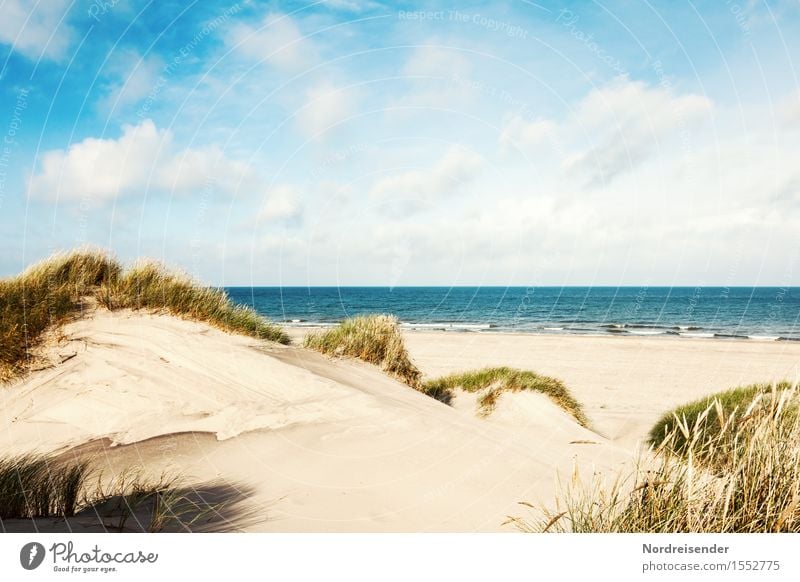 Sommer in den Dünen harmonisch Sinnesorgane Ferien & Urlaub & Reisen Tourismus Ferne Sommerurlaub Sonne Strand Meer Natur Landschaft Sand Wasser Wolken