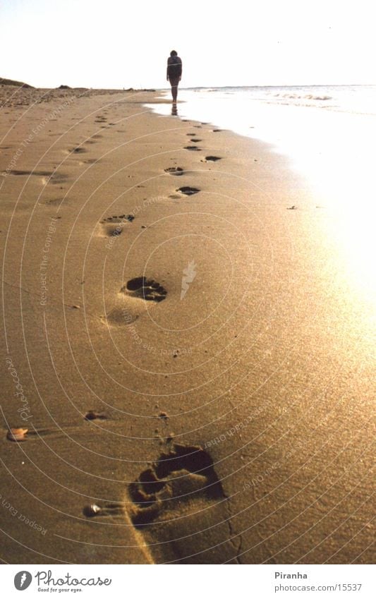 Spuren im Sand Strand Fußspur Meer Barfuß