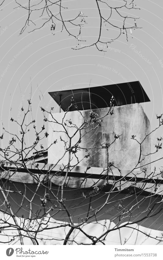 Revisited. Haus Mauer Wand Kamin ästhetisch grau schwarz weiß Schatten Schwarzweißfoto Ast kahl Außenaufnahme Menschenleer Tag