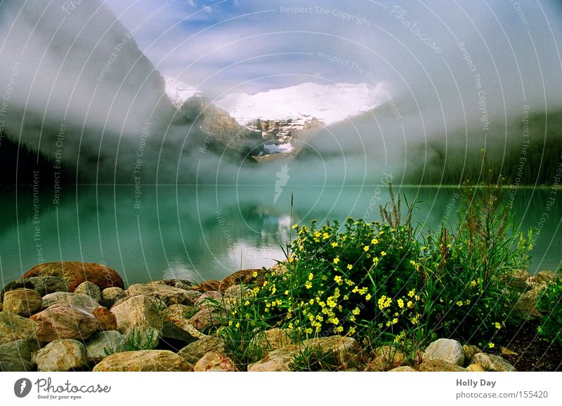 Rentnerkitsch Nebel See Berge u. Gebirge Schleier Wolken Alberta Banff National Park Lake Luise Wasser Reflexion & Spiegelung Blume Gipfel Kanada