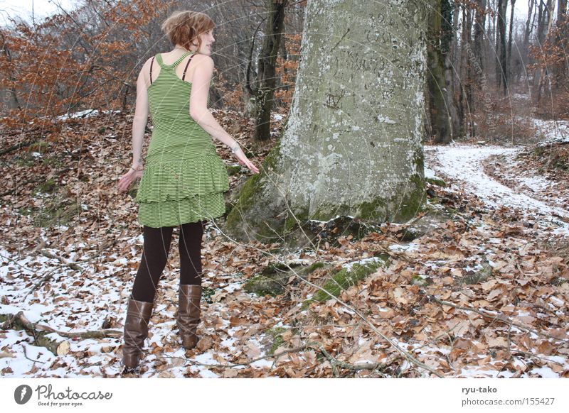 Anpirschen Frau Winter Wald Fee Blatt Baum kalt Spaziergang grün Kleid umherblicken