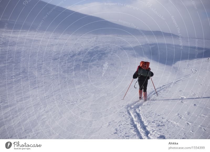 Rückansicht eines Skiwanderers auf dem norwegischen Fjell, einer Skispur folgend 1 Mensch Natur Landschaft Winter Schnee Berge u. Gebirge fahren außergewöhnlich