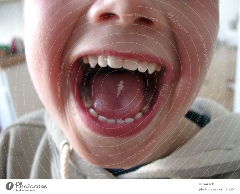 Schnauze!! Lippen Kind Mensch Zunge Gesicht Junge Michzähne Mund Zähne