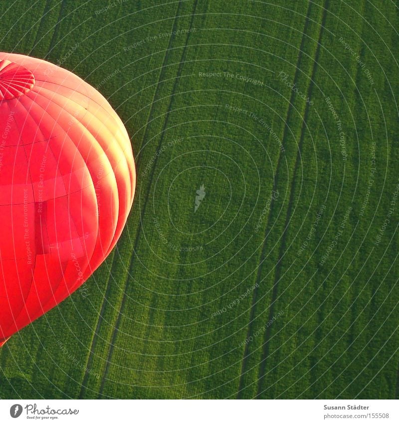 Roter Ballon Wiese grün Ballone fahren Wärme heizen Feld Dresden Spuren Korb Freiheit Vogel Luft Luftverkehr Traktorspur