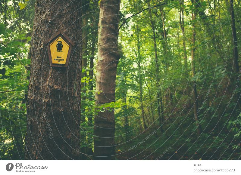 Uhuuu Erholung ruhig Sommer Landwirtschaft Forstwirtschaft Umwelt Natur Pflanze Klima Baum Blatt Wald Schilder & Markierungen Wachstum nachhaltig natürlich gelb