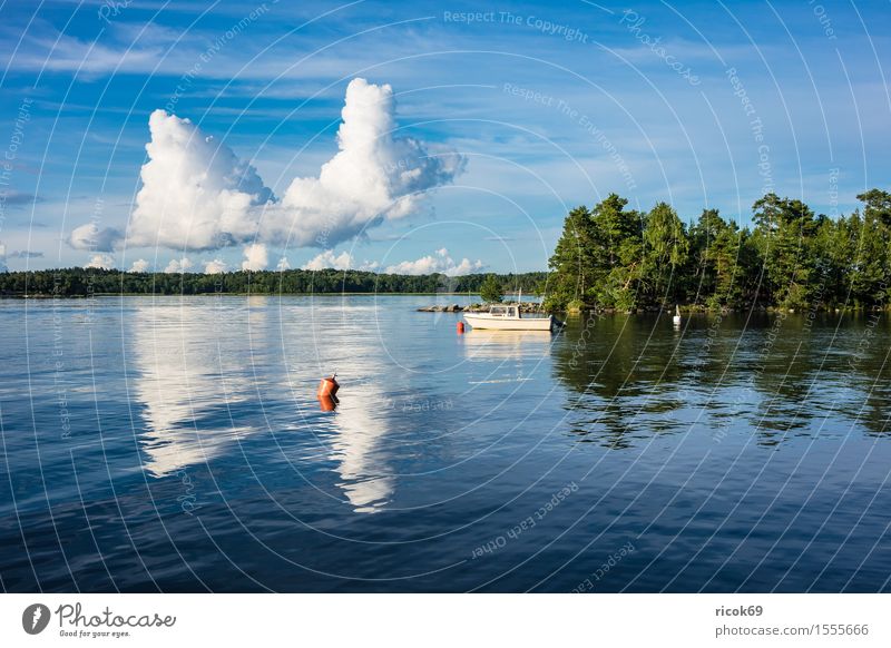 Schären an der schwedischen Küste Erholung Ferien & Urlaub & Reisen Tourismus Insel Natur Landschaft Wolken Baum Ostsee Wasserfahrzeug blau grün Schweden
