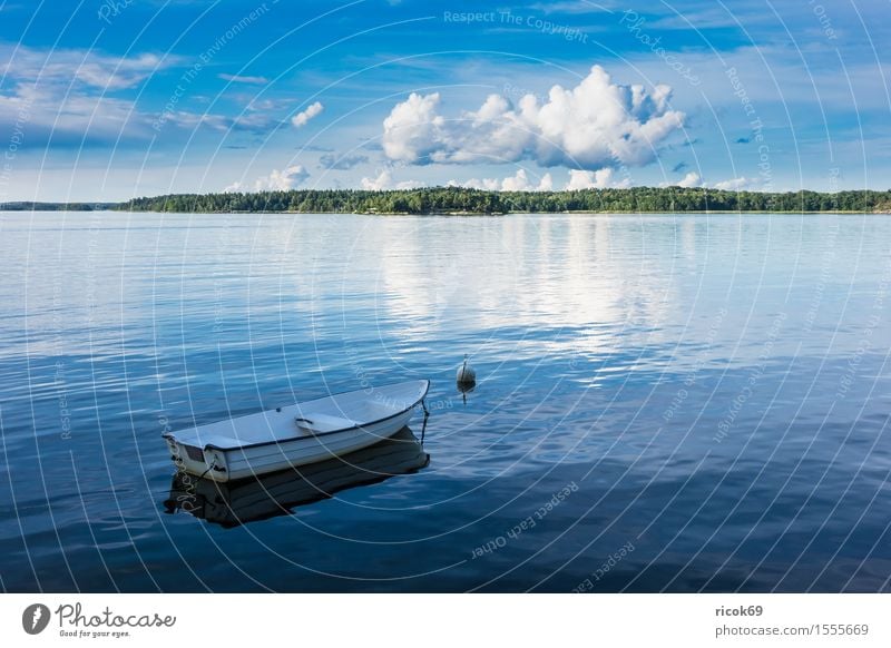 Schären an der schwedischen Küste Erholung Ferien & Urlaub & Reisen Tourismus Insel Natur Landschaft Wolken Baum Ostsee Wasserfahrzeug blau grün Schweden