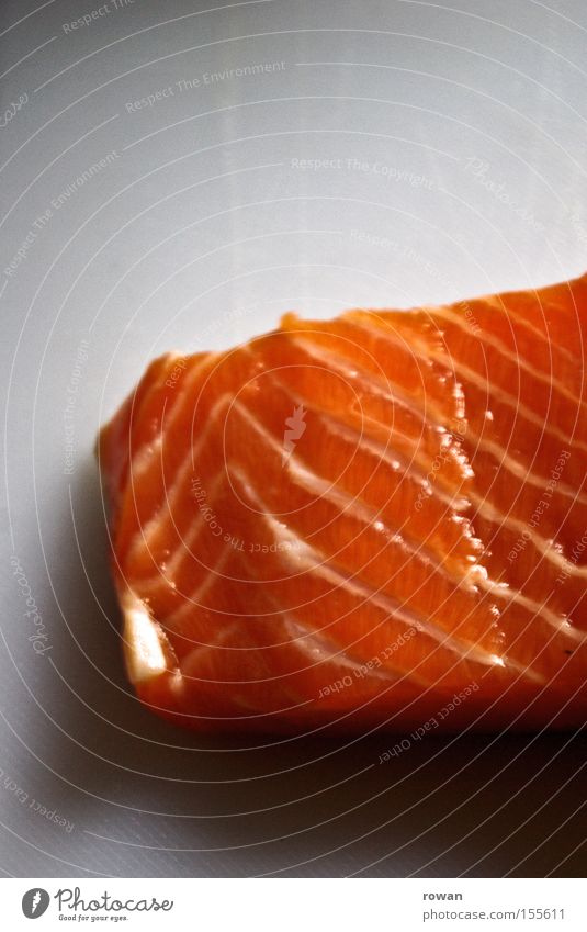 frischerfisch Farbfoto Strukturen & Formen Fisch Ernährung Gastronomie Lachs Mahlzeit Schweinefilet orange Zutaten Protein Feinschmecker